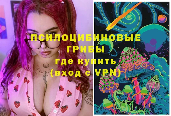 соль ск Михайловск