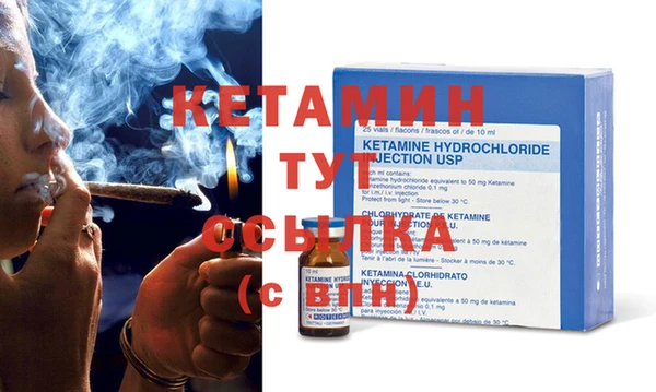 гидра Елабуга