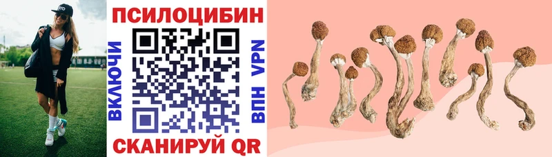 Псилоцибиновые грибы GOLDEN TEACHER  Буй 