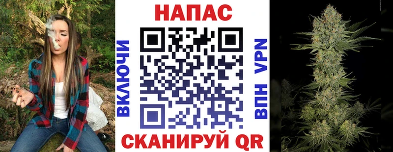 Шишки марихуана сатива ссылка на мегу рабочий сайт Буй купить